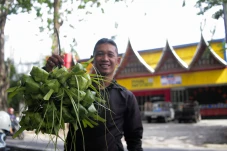 Penjualan Kulit Ketupat...