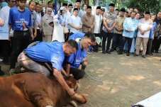 AHY Saksikan Penyembelihan...