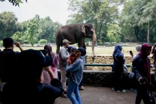 Pengunjung Padati Taman...
