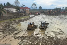 Kemenhut Percepat Pembersihan...