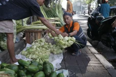 Pedagang Musiman Kulit...