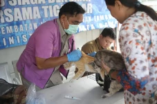 Vaksinasi Rabies Gratis...