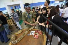 PetFest 2026 Petropolis:...