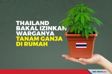 Thailand Bakal Izinkan...
