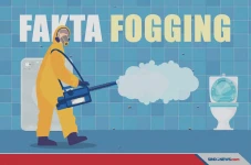 5 Fakta Penting Tentang...