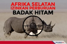 Afrika Selatan Izinkan...