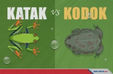 Serupa tapi Tak Sama,...