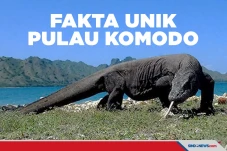 5 Fakta Unik Pulau Komodo,...