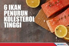 Ampuh! 6 Ikan Ini Bisa...