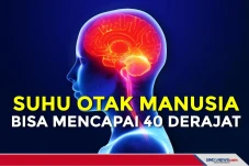 Ilmuwan Sebut Suhu Otak...