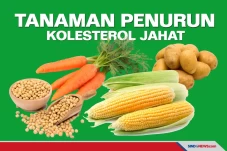 Tanaman Penurun Kolesterol...