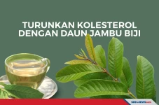 Turunkan Kolesterol...