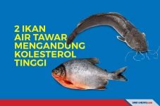 Waspada! Ini 2 Ikan...