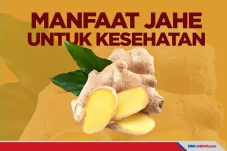 Terbukti Ampuh Lawan...
