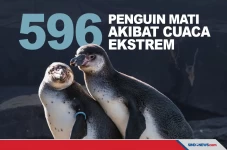 Akibat Cuaca Ekstrem...