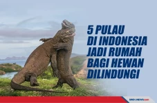 Berikut 5 Pulau di Indonesia...