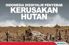 Indonesia Disebut Paling...