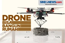 Bekerja Bak Lebah, Drone...
