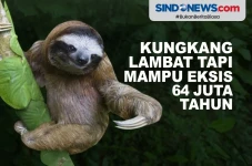 Meskipun Sangat Lambat,...