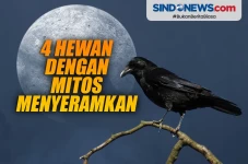 4 Hewan dengan Mitos...