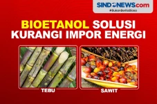 Jokowi: Impor Energi...