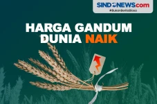 Pasokan Lebih Ketat,...