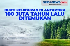 Bukti Kehidupan di Antartika...