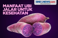 5 Manfaat Ubi Jalar,...