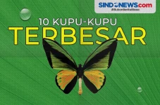 Banyak dari Indonesia,...