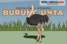 Beberapa Fakta Menarik...