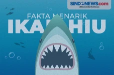 Sejumlah Fakta Unik...