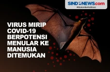 Virus Mirip Covid-19...