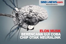 Chip Otak Nirkabel Neuralink...
