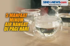 Lima Manfaat Minum Air...