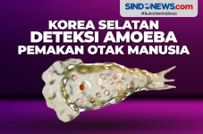 Korea Selatan Deteksi...