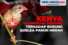 Kenya Gaungkan Perang...