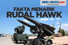 Rudal HAWK, Senjata...