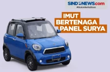 Wink NEV, Mobil Imut...