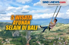 Pacu Adrenalin, ini...