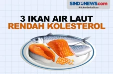 Tiga Ikan Air Laut Ini...