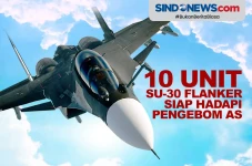 10 Unit Su-30 Flanker...