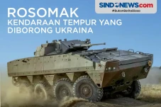 Rosomak, Kendaraan Tempur...