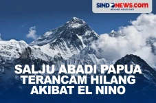 Salju Abadi Papua Terancam...