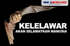 Kelelawar Akan Selamatkan...