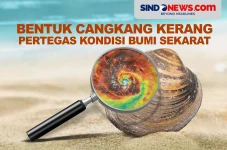 Bentuk Cangkang Kerang...