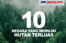 10 Negara yang Memiliki...
