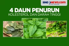 Mudah Ditemukan, Berikut...