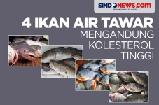 Waspada, Berikut Ikan...