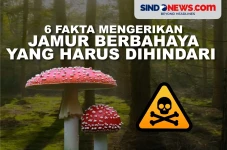 Harus Dihindari, Ini...