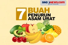 Buah Penurun Asam Urat,...